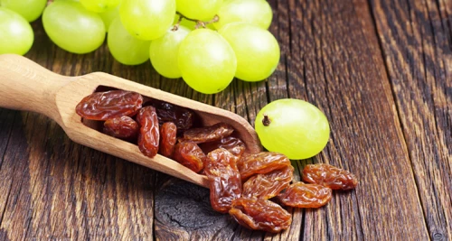 Kleine Frucht, große Vielfalt – Heute ist ...